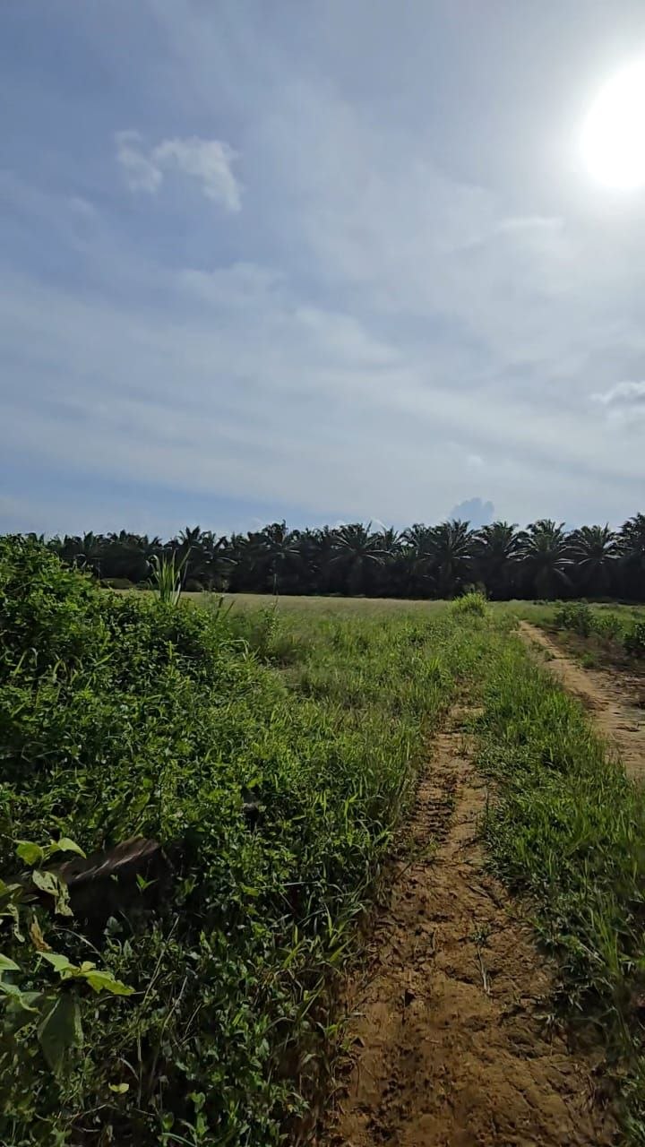 Senai Idaman 40 Acre Medium Industrial Land β Hartanow