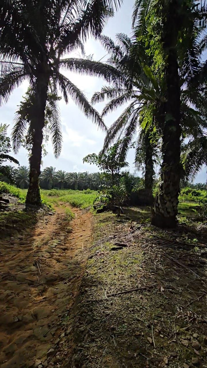 Senai Idaman 40 Acre Medium Industrial Land β Hartanow