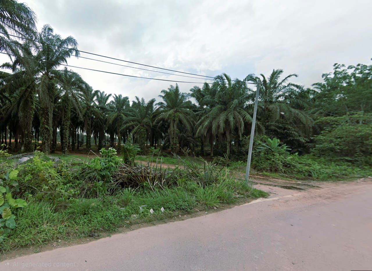 Ulu Choh Agriculture Land — Hartanow